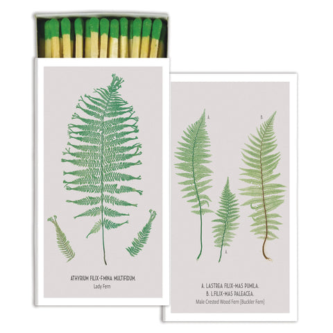 Fern Matches